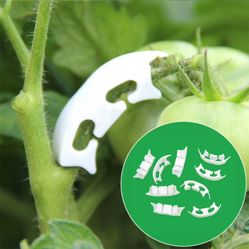 Gardening Tools Bundle - 50/100pcs Botany-stem Vine Strapping Clips Garden