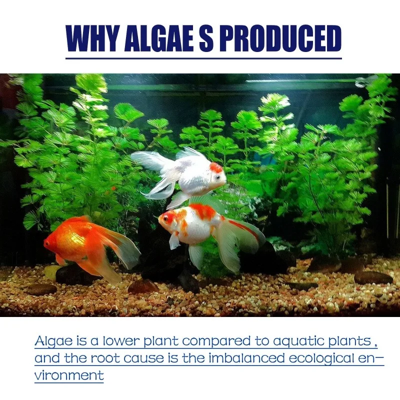 50g High Efficiency Algaecide  - Aquaponics Fish Tank review and price