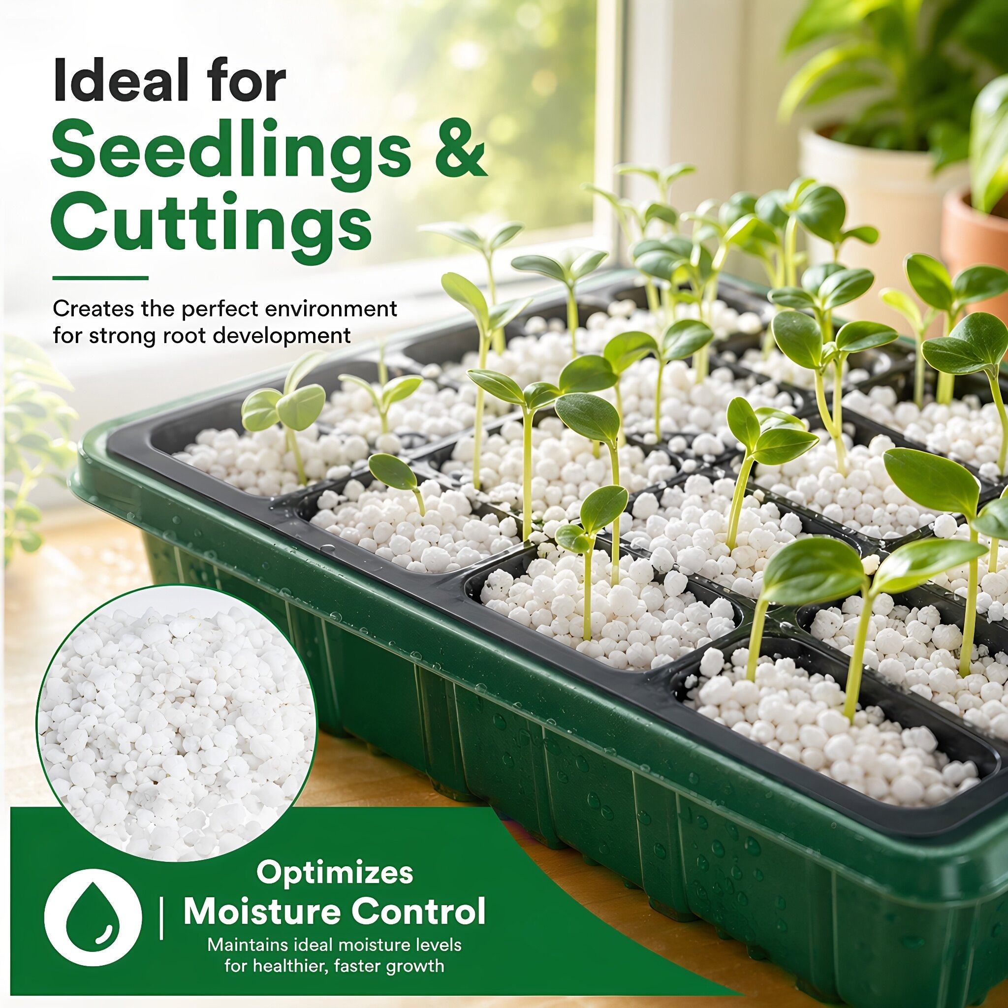 Horticultural Perlite Plant In - Horticulture Soil Perlite review and price