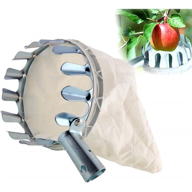 Metal Fruit Harvester Basket H - Gardening Tools Basket review and price