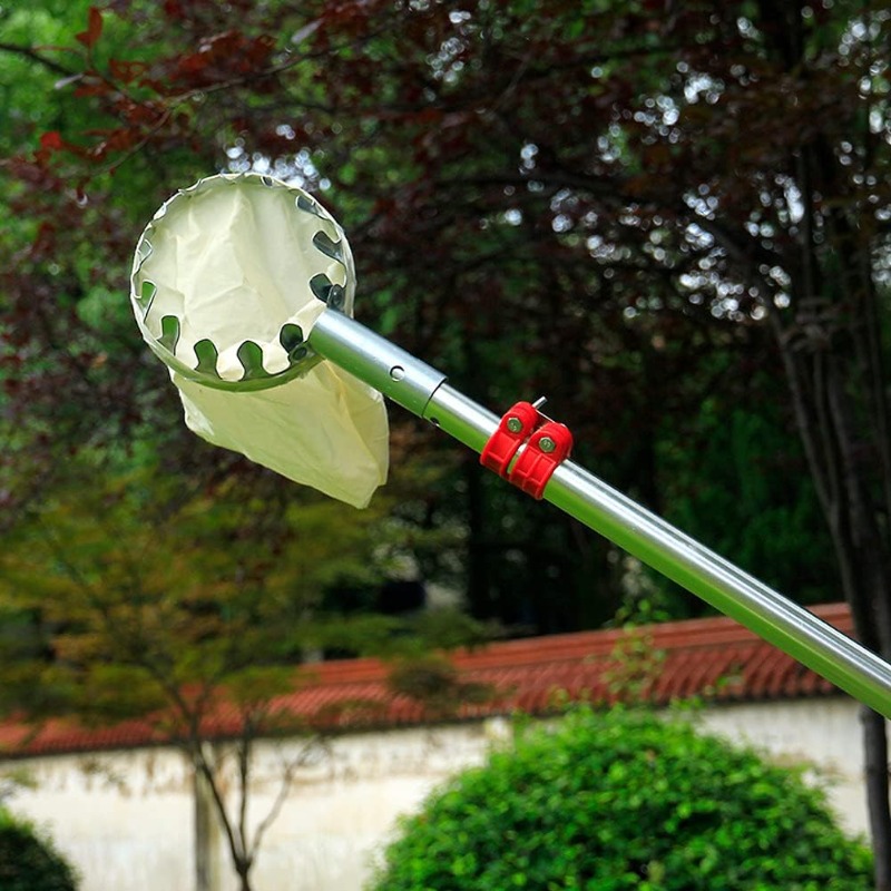 Metal Fruit Harvester Basket H - Gardening Tools Basket review and price