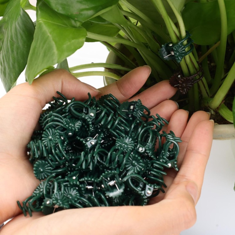 Wholesale Mini Plant Support C - Gardening Tools Wholesale review and price