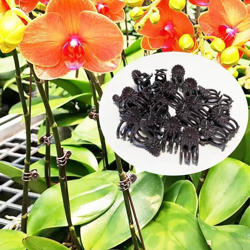 Wholesale Mini Plant Support C - Gardening Tools Wholesale review and price
