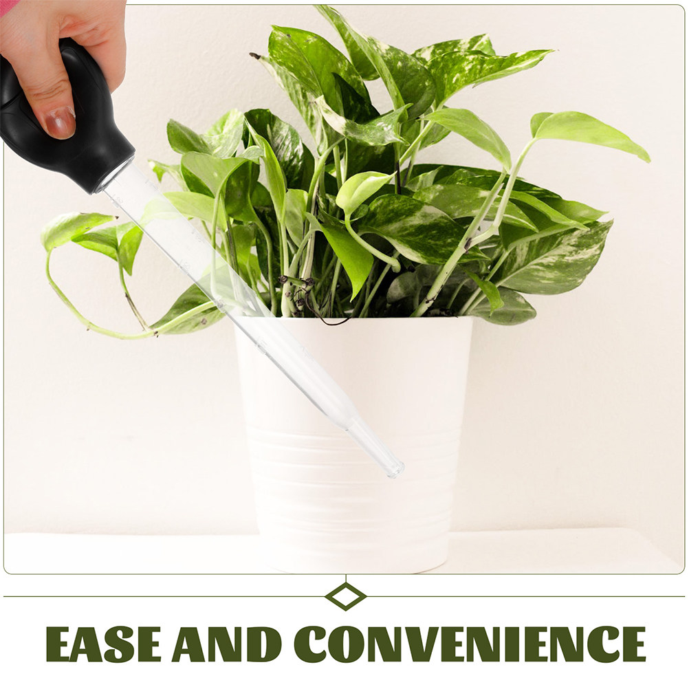 3Pcs Flower Pot Water Absorber - Gardening Tools Water review and price