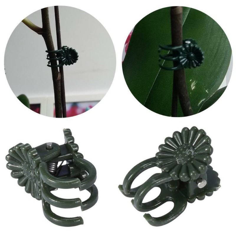 50PCS 5-Claw Dark Green Plant  - Gardening Tools Bundle review and price
