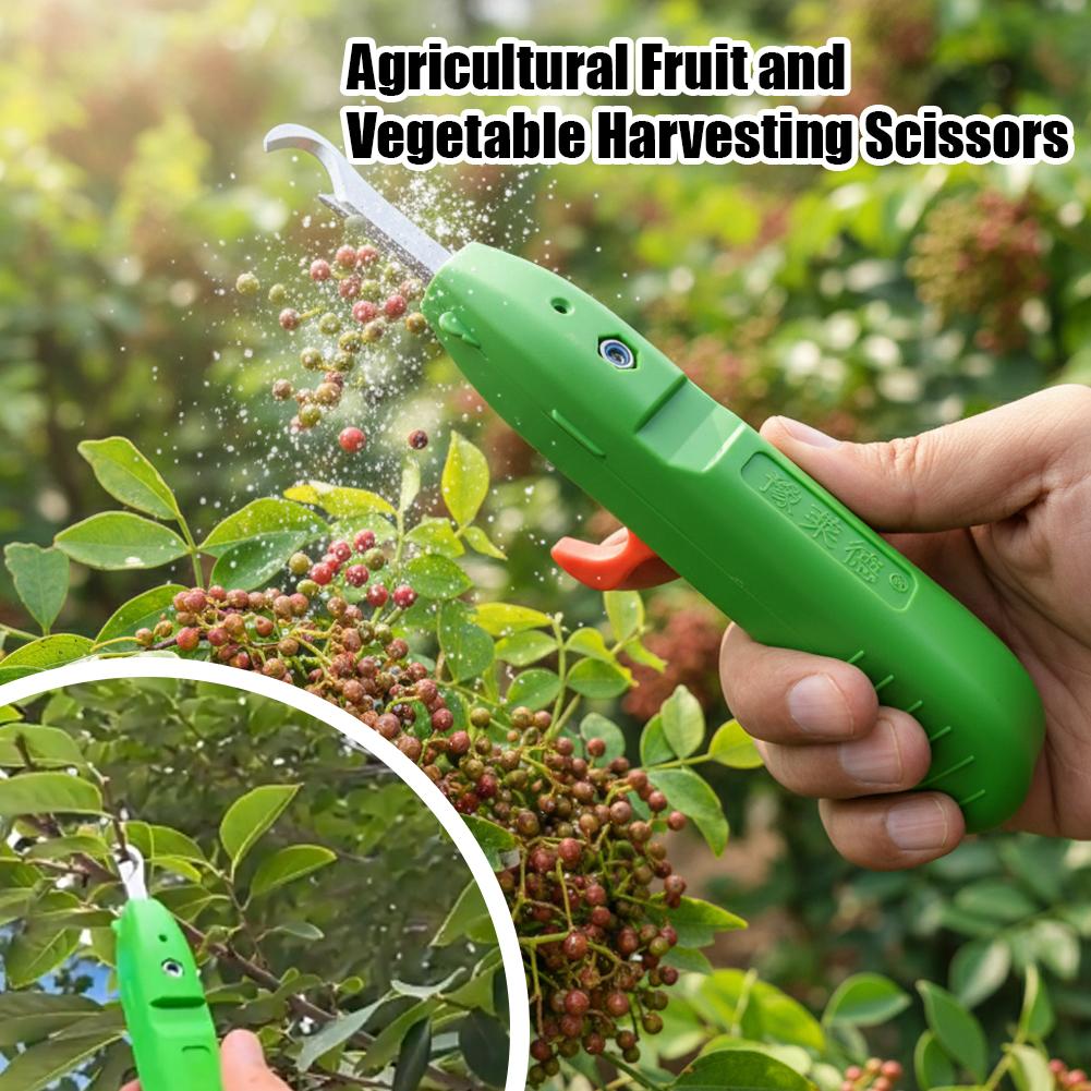 Fruit And Vegetable Picking Sh - Gardening Tools Wholesale review and price