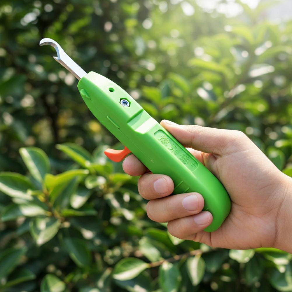 Fruit And Vegetable Picking Sh - Gardening Tools Wholesale review and price