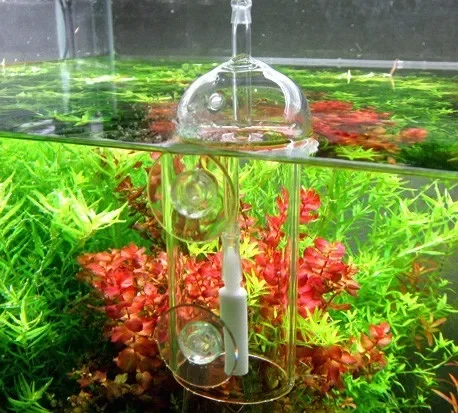 VIV Do Device Aquarium Cylinde - Aquaponics Fish Tank review and price