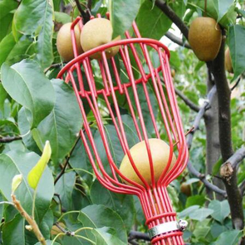 Deep Basket Fruit Picker Head  - Gardening Tools Basket review and price