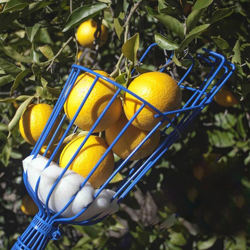 Deep Basket Fruit Picker Head  - Gardening Tools Basket review and price