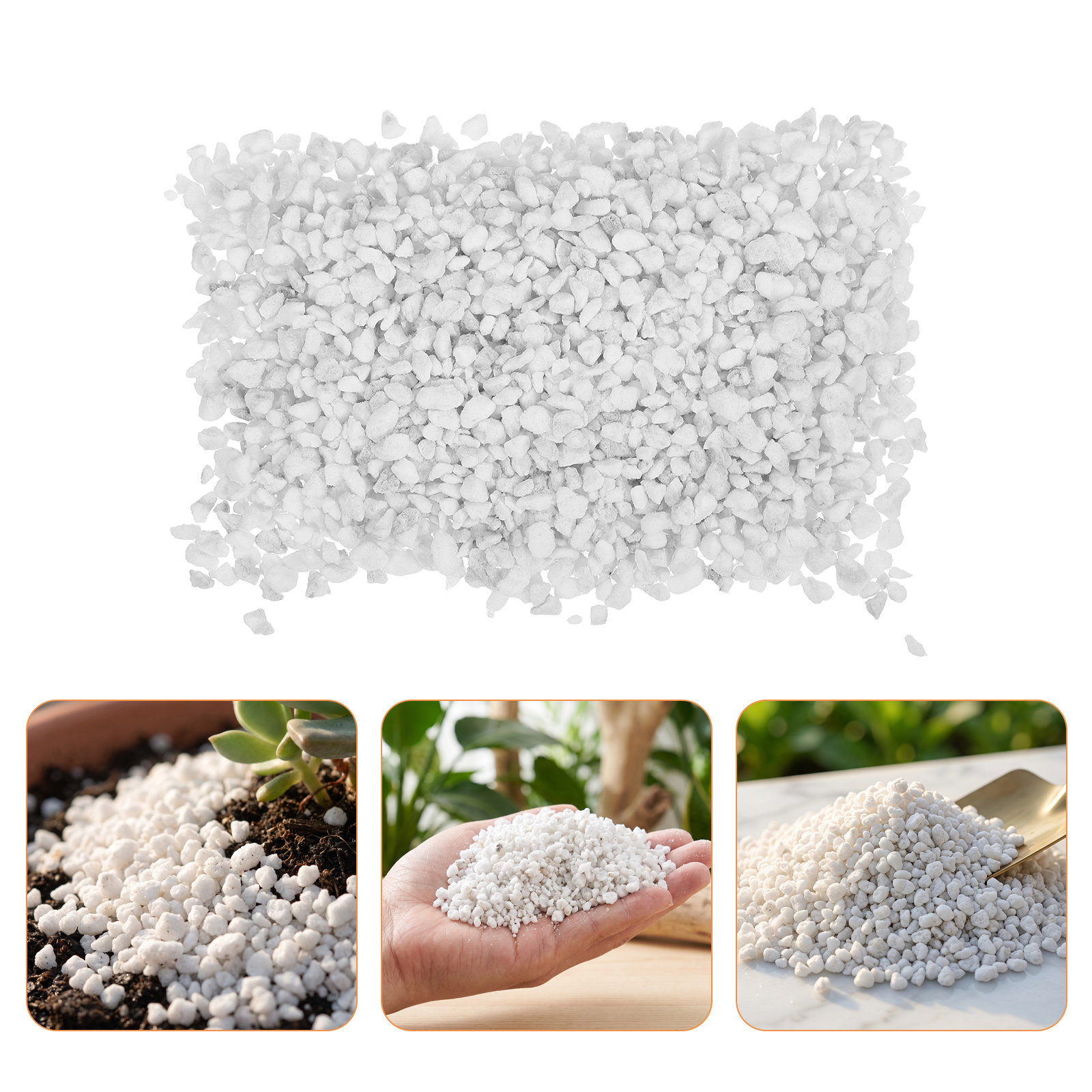 Horticultural Perlite Plant In - Horticulture Soil Perlite review and price