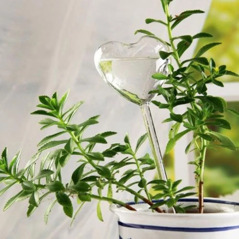 House/Garden Water Houseplant  - Gardening Tools Equipment review and price