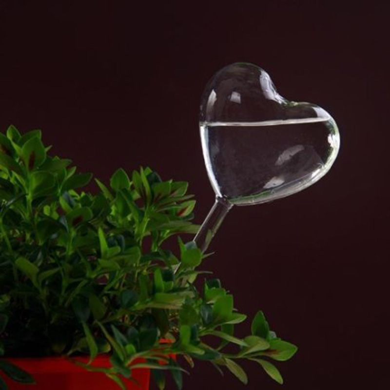 House/Garden Water Houseplant  - Gardening Tools Equipment review and price