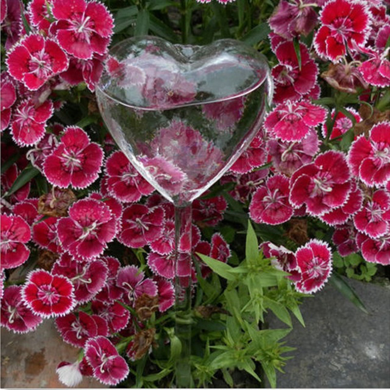 House/Garden Water Houseplant  - Gardening Tools Equipment review and price