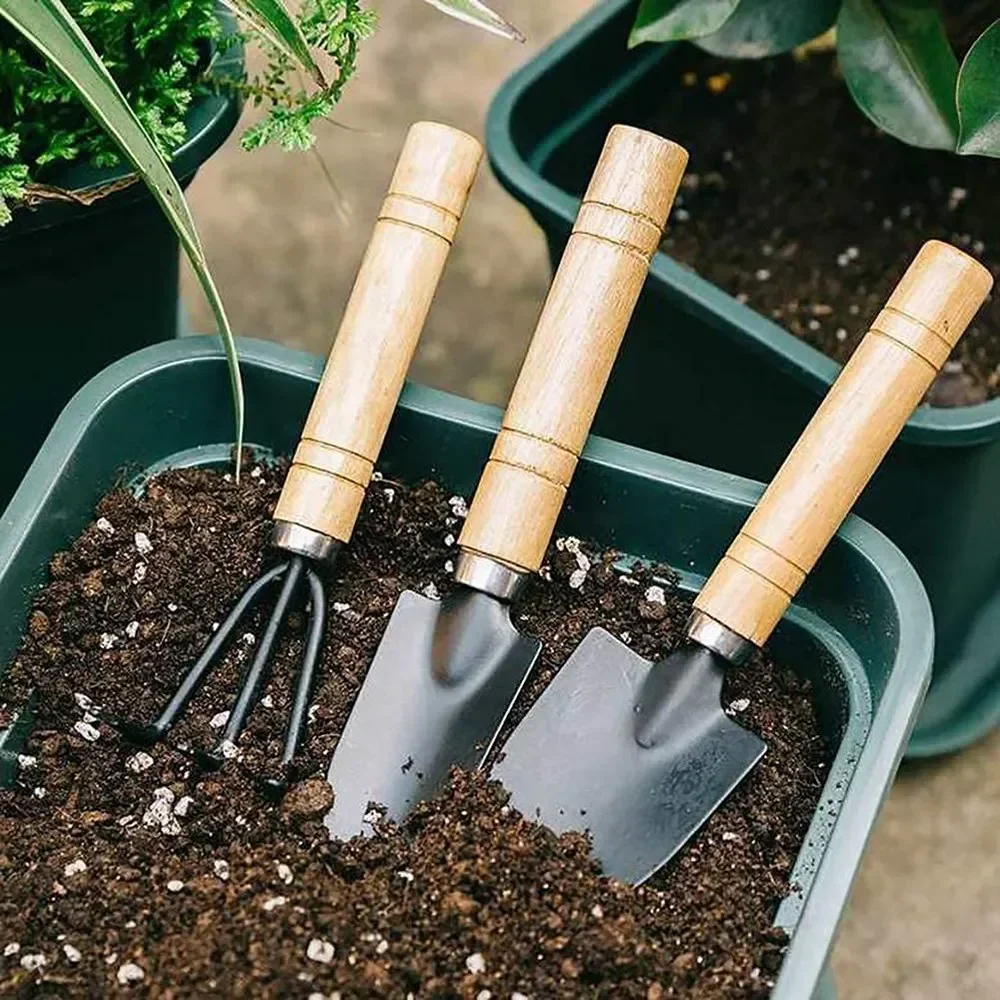 3Pcs/Set Mini Garden Tool Set  - Gardening Tools Equipment review and price