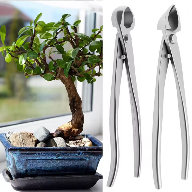 2pcs 210mm Stainless Steel Bon - Gardening Tools Australia review and price
