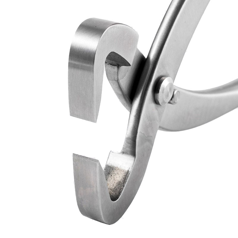 2pcs 210mm Stainless Steel Bon - Gardening Tools Australia review and price