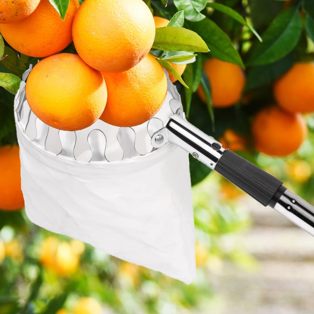 Fruit Picker Pole With Basket  - Gardening Tools Basket review and price
