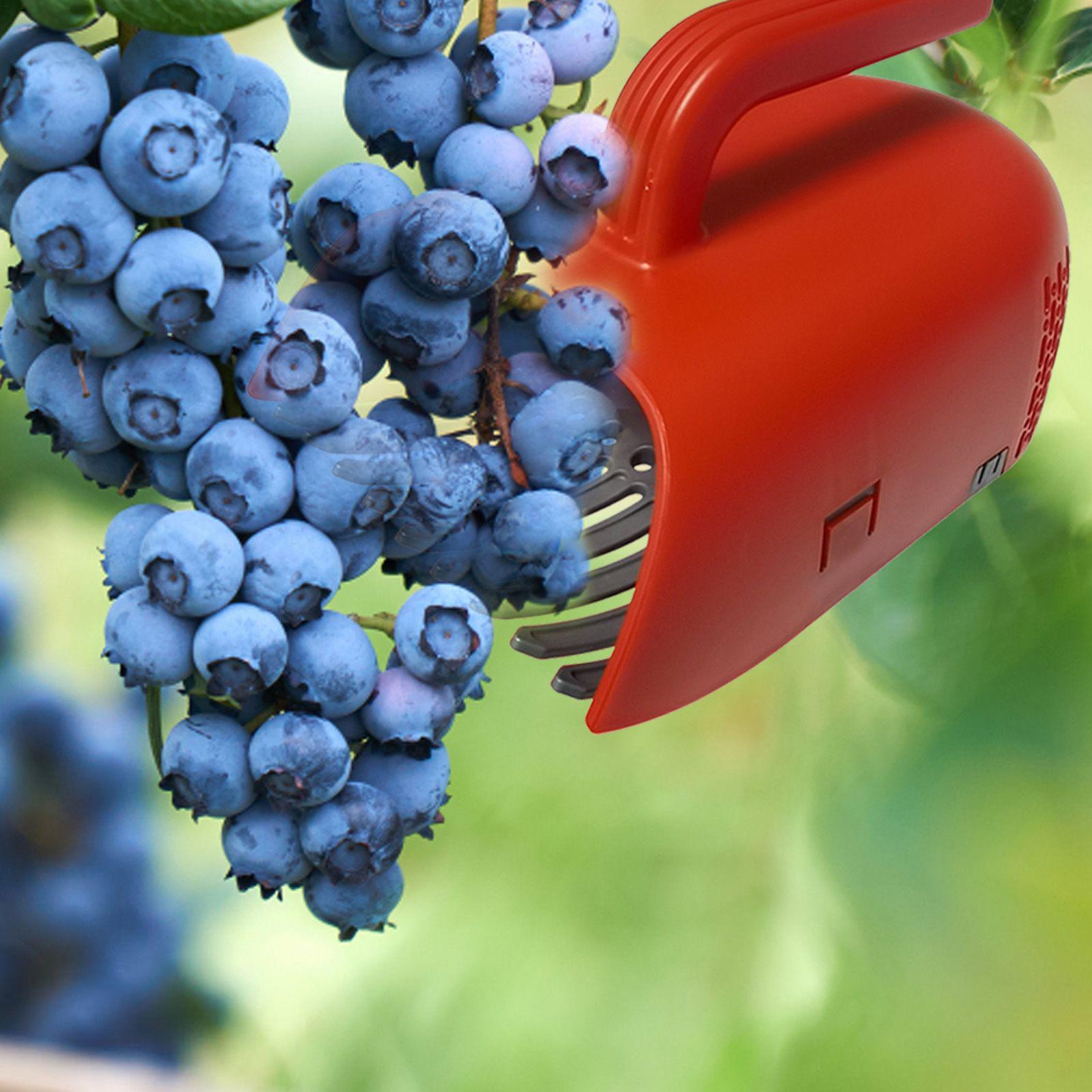 Picking Berry Harvester Scoop  - Gardening Tools Rake review and price