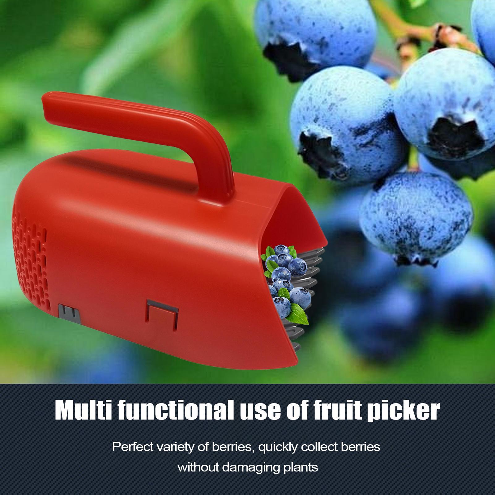 Picking Berry Harvester Scoop  - Gardening Tools Rake review and price