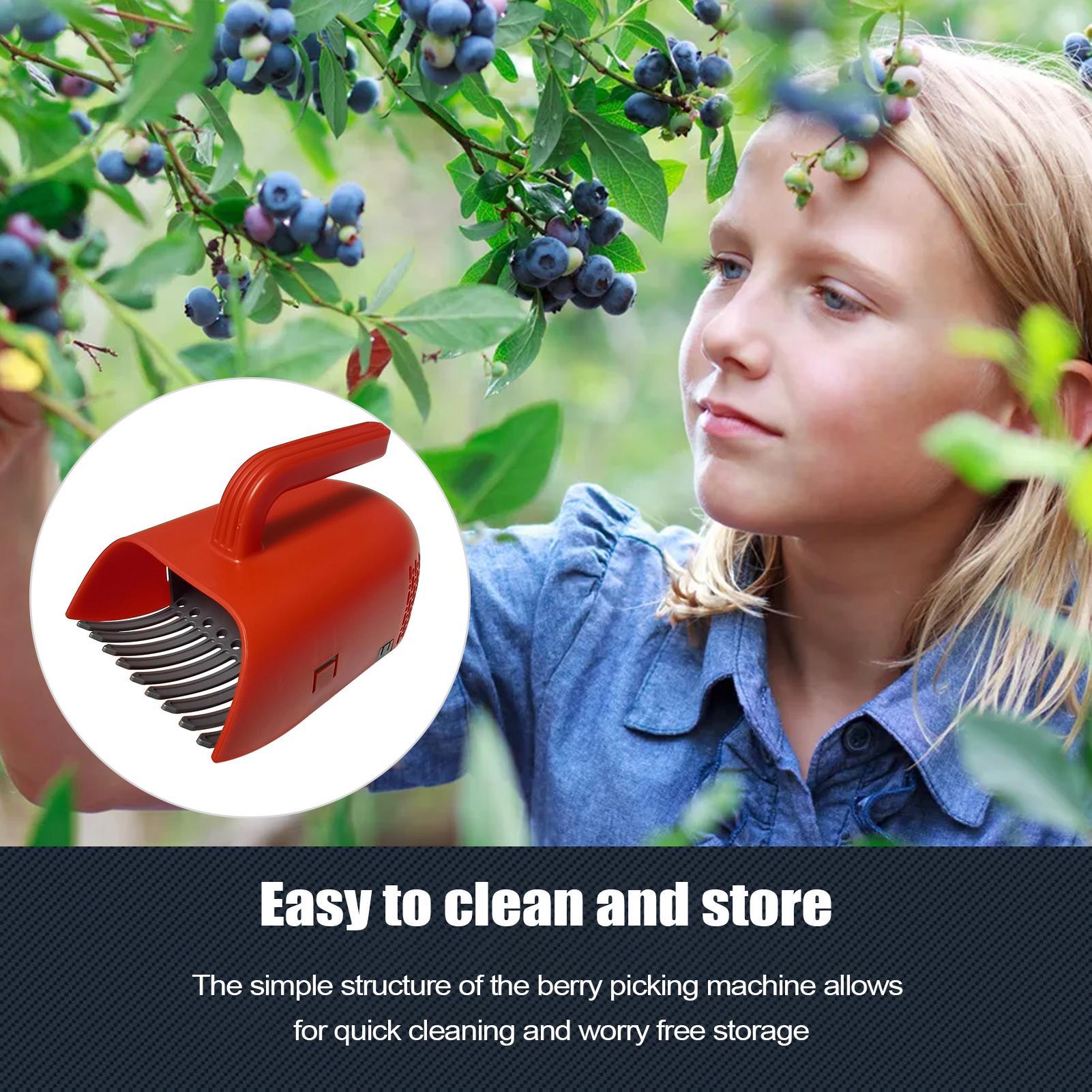 Picking Berry Harvester Scoop  - Gardening Tools Rake review and price
