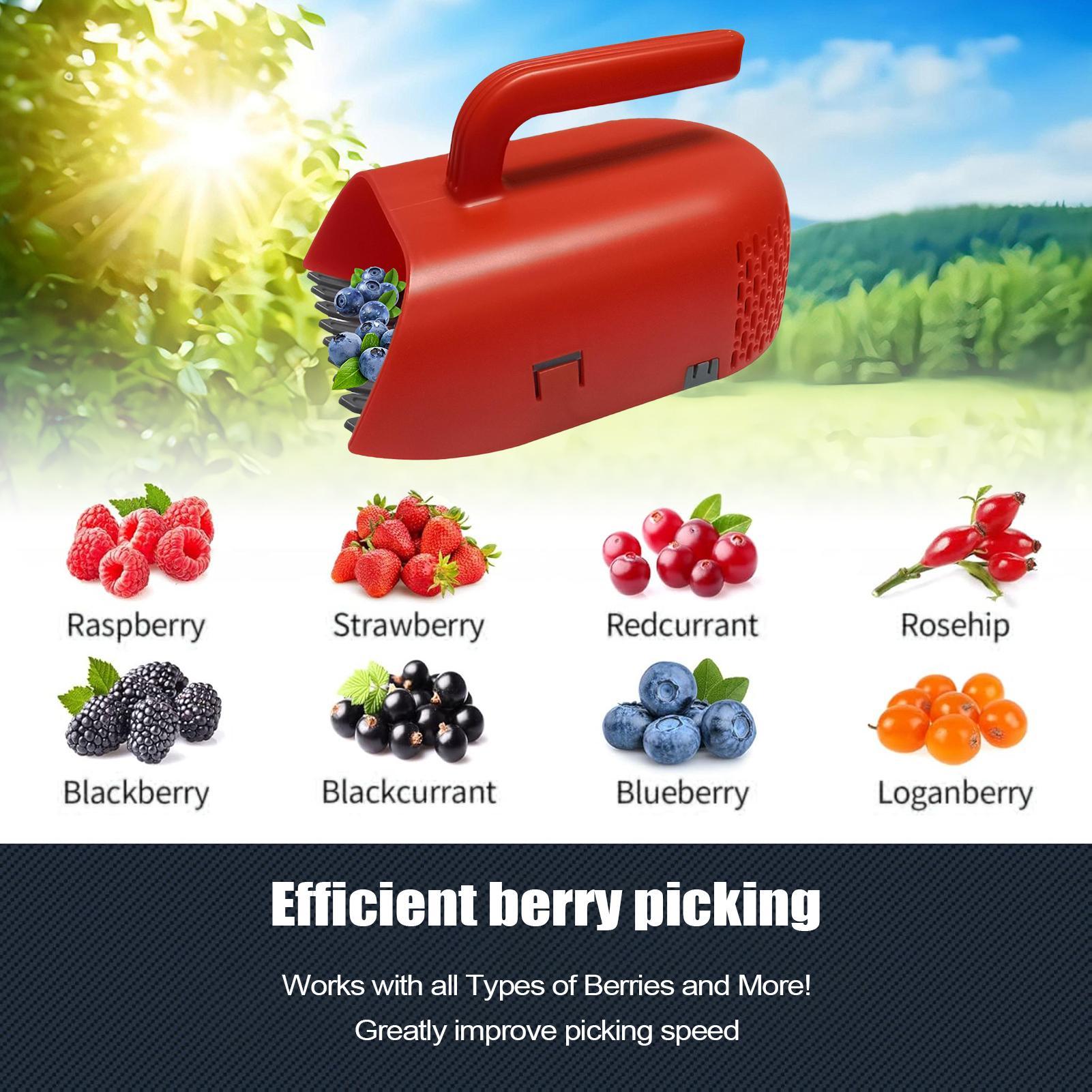 Picking Berry Harvester Scoop  - Gardening Tools Rake review and price