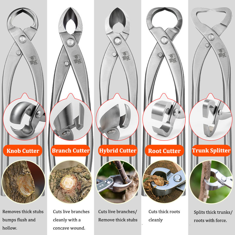 Premium Bonsai Tool Set Stainl - Gardening Tools Australia review and price