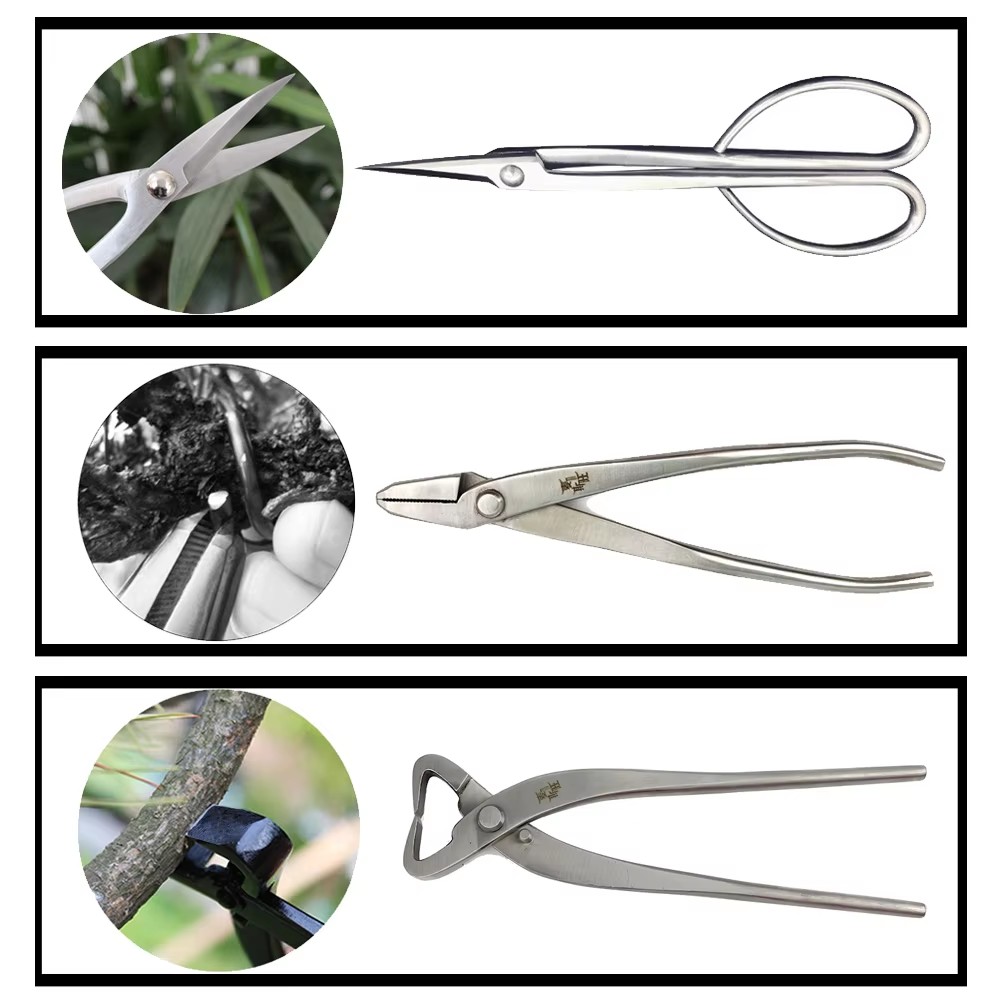 Premium Bonsai Tool Set Stainl - Gardening Tools Australia review and price