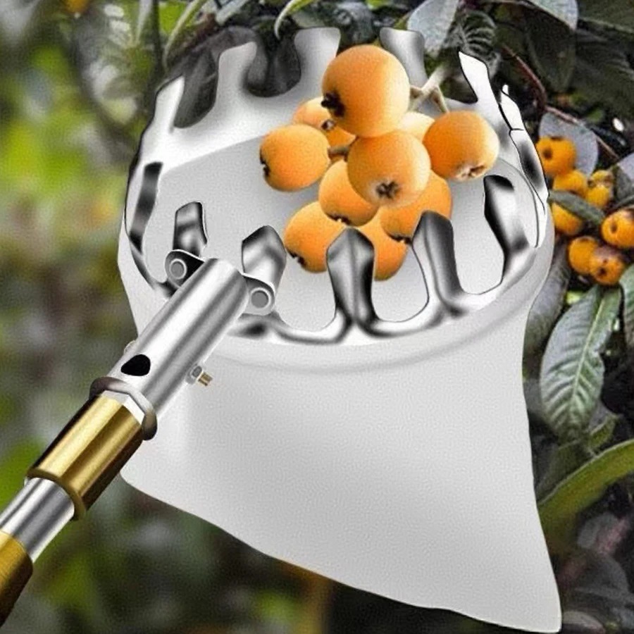 Professional Berry Picker Tool - Gardening Tools Basket review and price