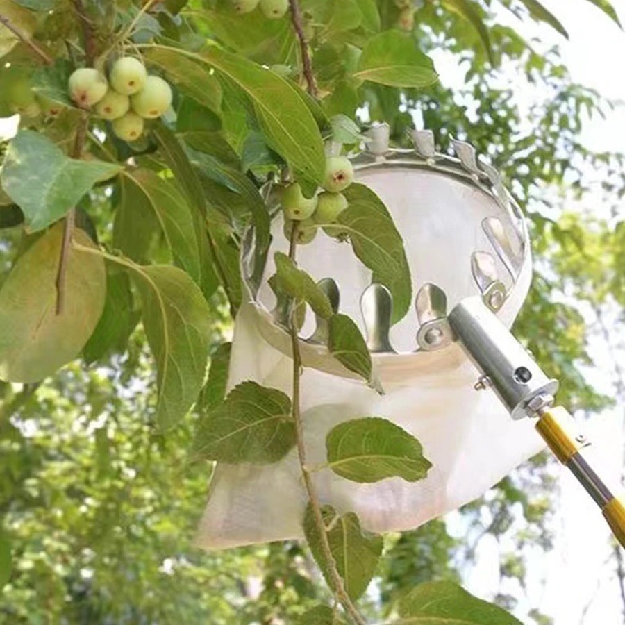 Professional Berry Picker Tool - Gardening Tools Basket review and price