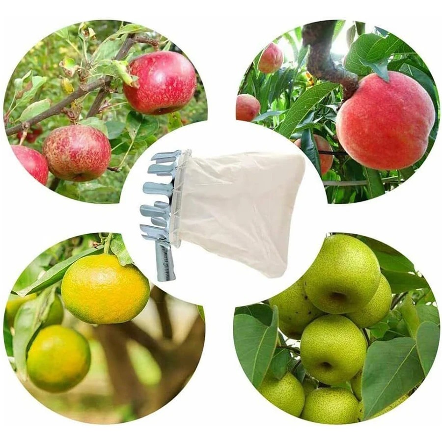 Professional Berry Picker Tool - Gardening Tools Basket review and price