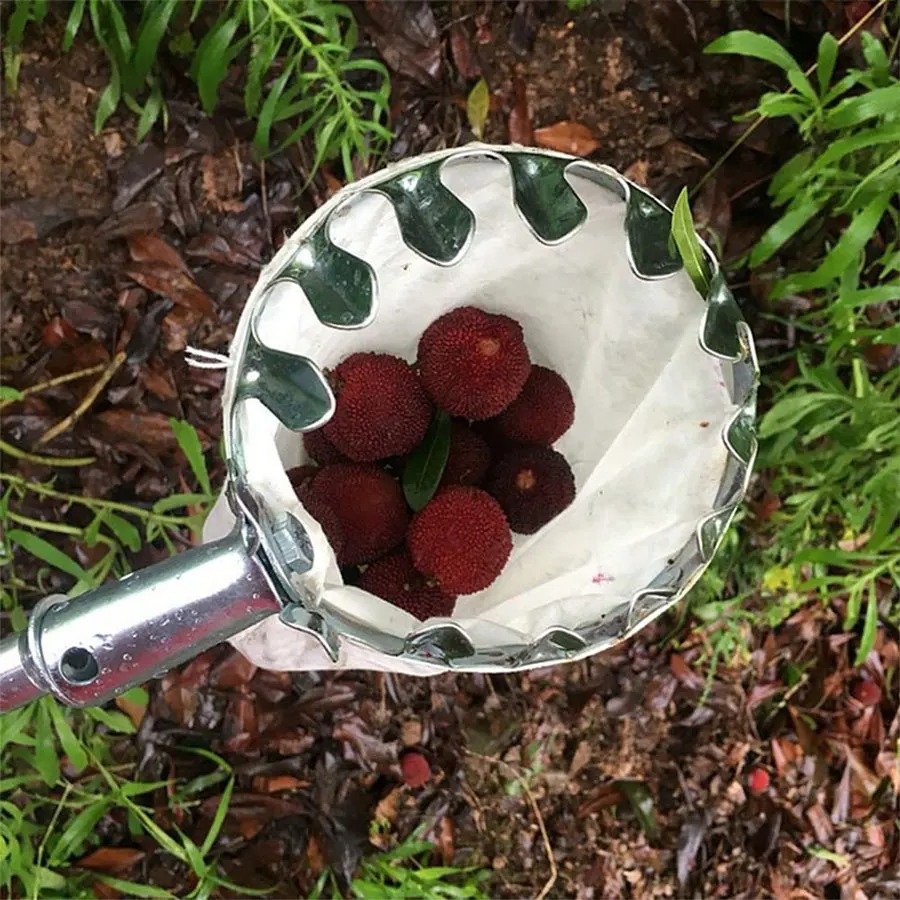 Professional Berry Picker Tool - Gardening Tools Basket review and price