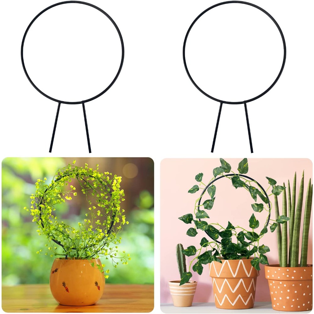 1Pc Plant Support Garden Stake - Gardening Tools Australia review and price