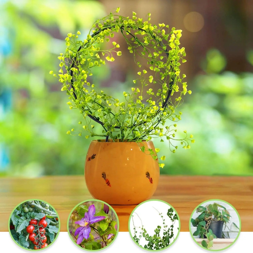 1Pc Plant Support Garden Stake - Gardening Tools Australia review and price