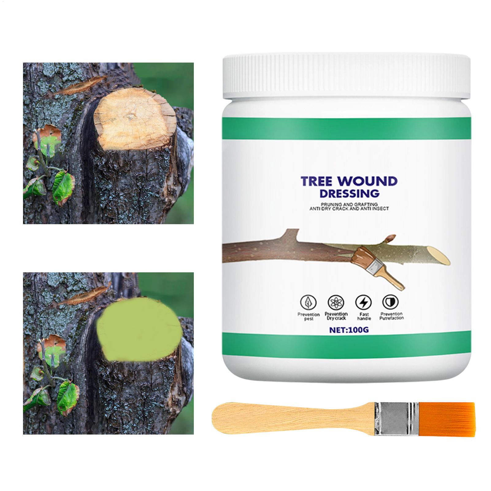 Tree Grafting Paste Tree Wound - Gardening Tools Wholesale review and price