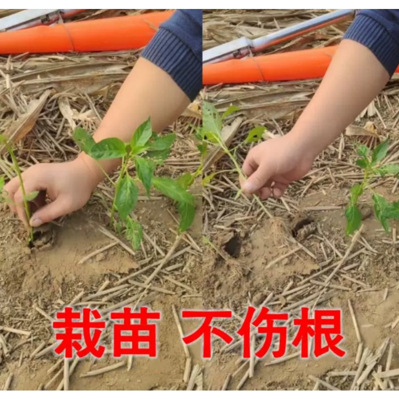 Agricultural Seedling Transpla - Gardening Tools Equipment review and price