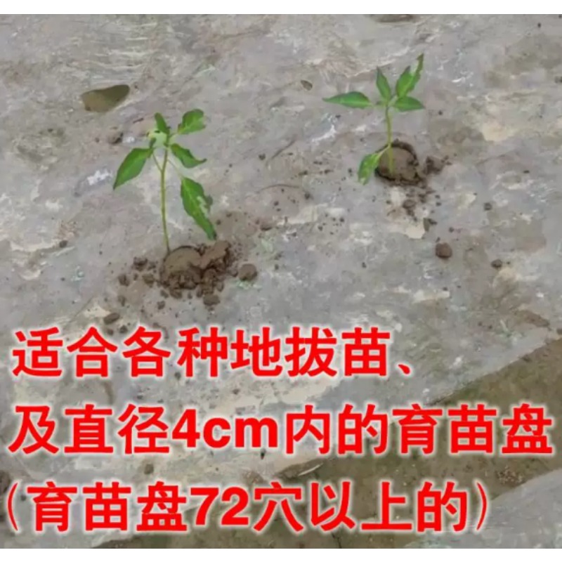 Agricultural Seedling Transpla - Gardening Tools Equipment review and price