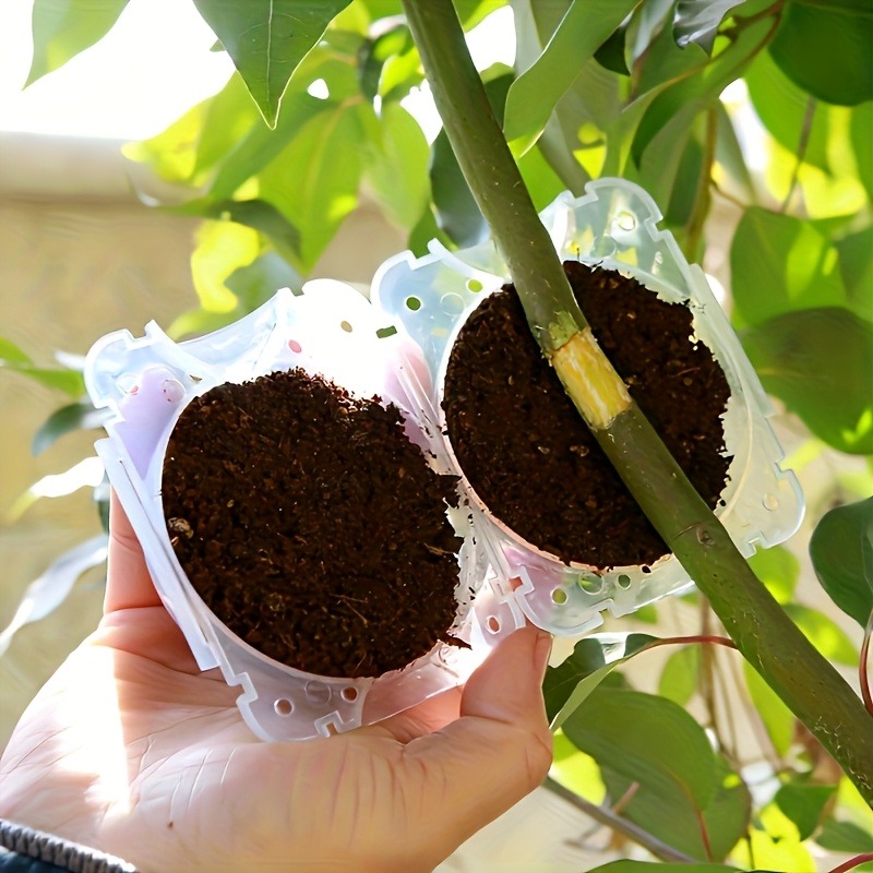 10Pcs High Pressure Plant Root - Gardening Tools Equipment review and price