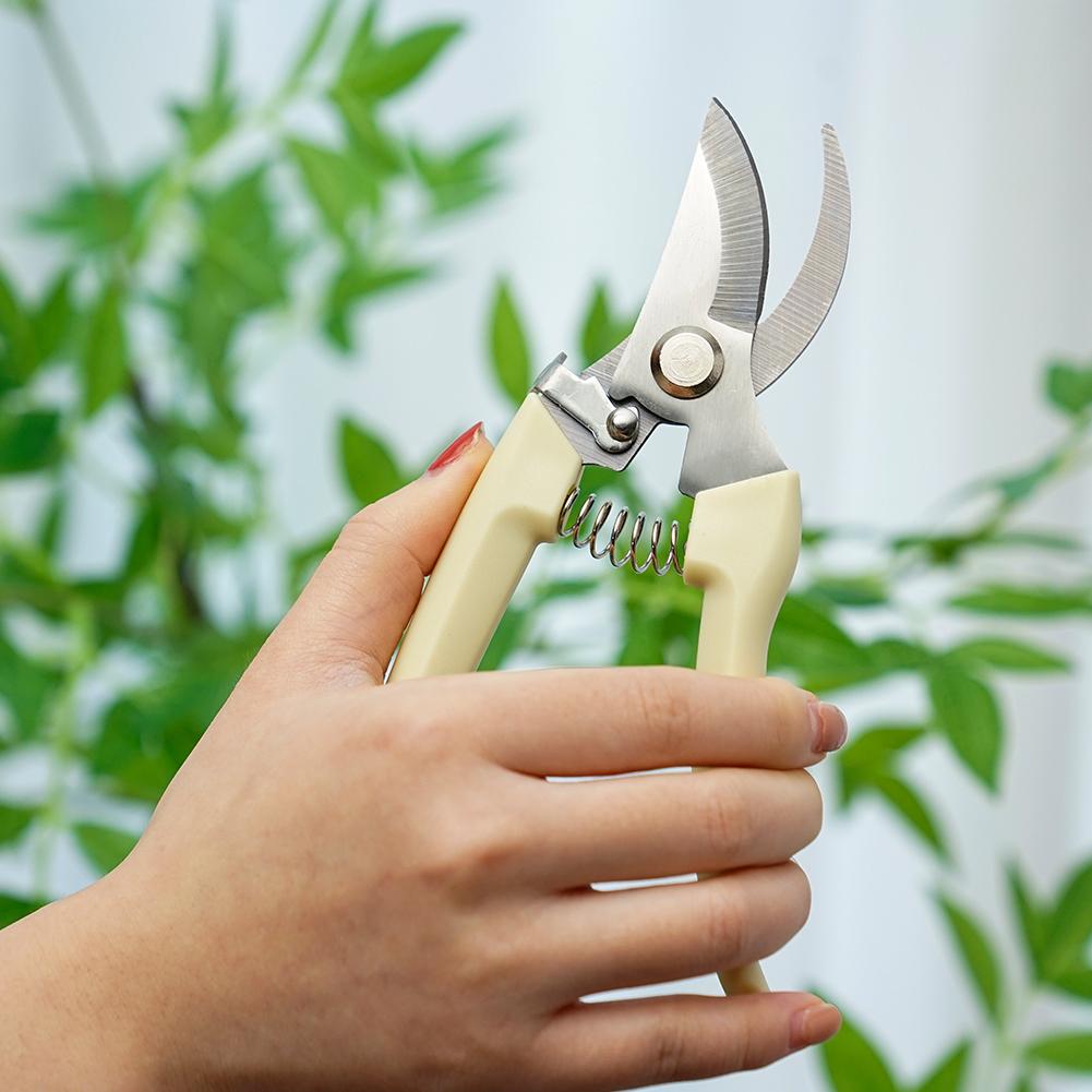 Garden Scissors For Plant,Gard - Gardening Tools Australia review and price