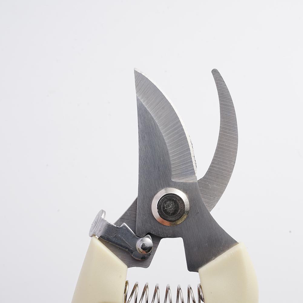 Garden Scissors For Plant,Gard - Gardening Tools Australia review and price