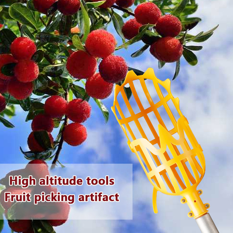 [C]Picking Loquat Picking Bayb - Gardening Tools Basket review and price
