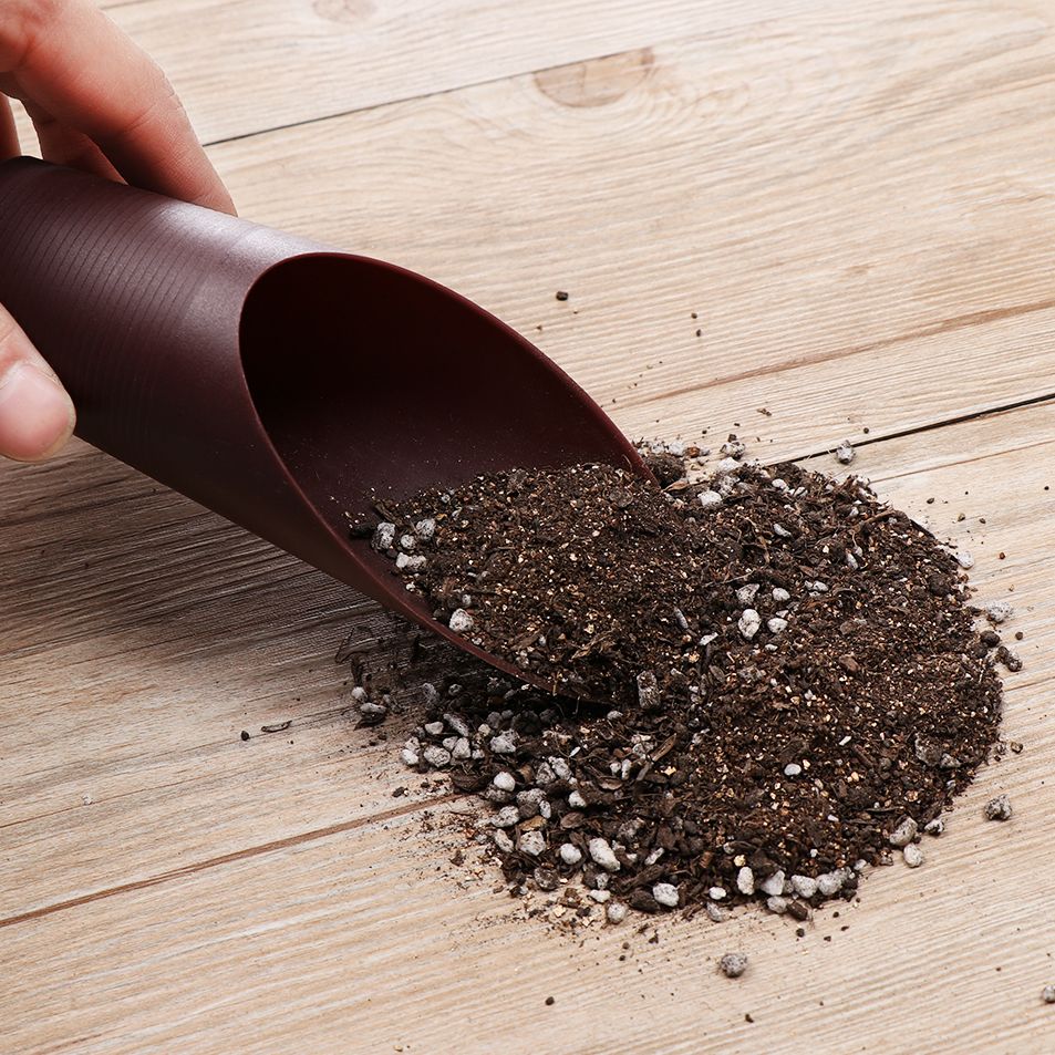 1PC Plastic Soil Shovel Cup Fo - Gardening Tools Equipment review and price